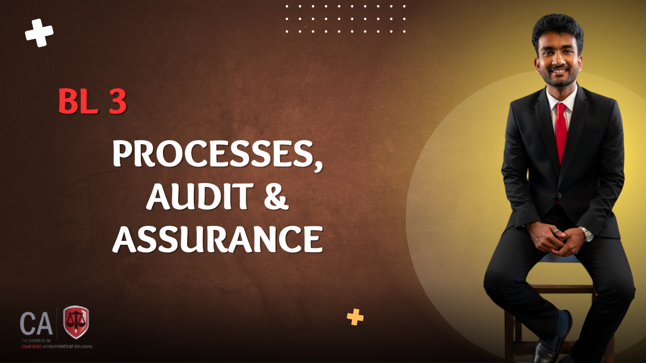 Processes, Audit & Assurance (BL3)