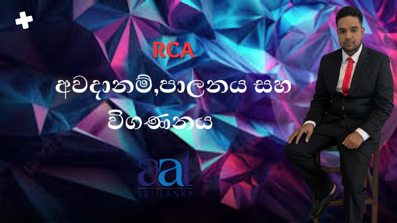 අවදානම් පාලනය සහ විගණනය (RCA)
